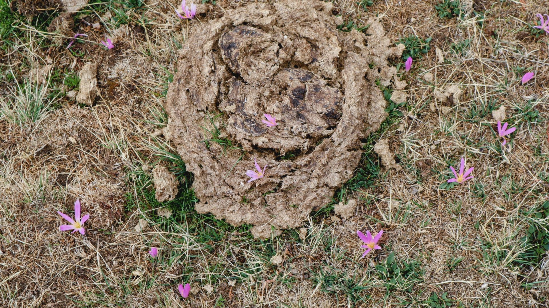 foto60.jpg