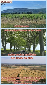 foto112_small.jpg