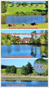 foto147_small.jpg