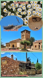 foto59_small.jpg