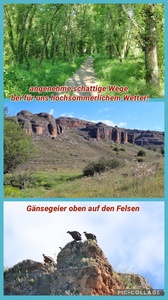 foto66_small.jpg