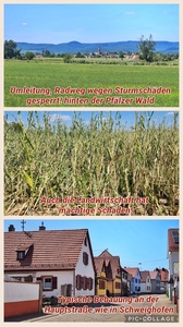 foto09_small.jpg