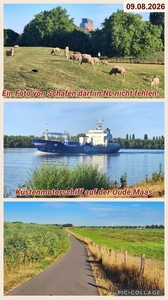 foto113_small.jpg