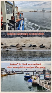 foto118_small.jpg