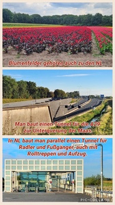 foto135_small.jpg