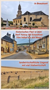 foto53_small.jpg