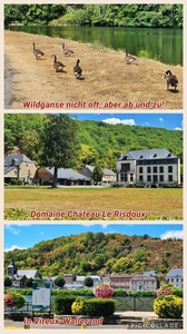 foto65_small.jpg